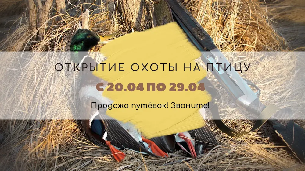 Охота на утку в Тверской области